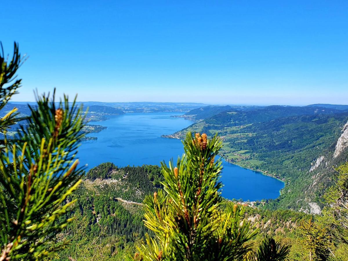 Haus Leitner Apartment Attersee Luaran gambar